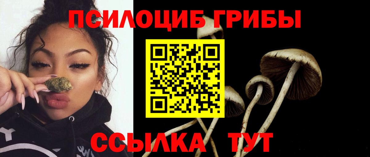 наркотики  Вход с VPN  Псилоцибиновые грибы GOLDEN TEACHER  Нарьян-Мар  Галлюциногенные грибы мицелий 
